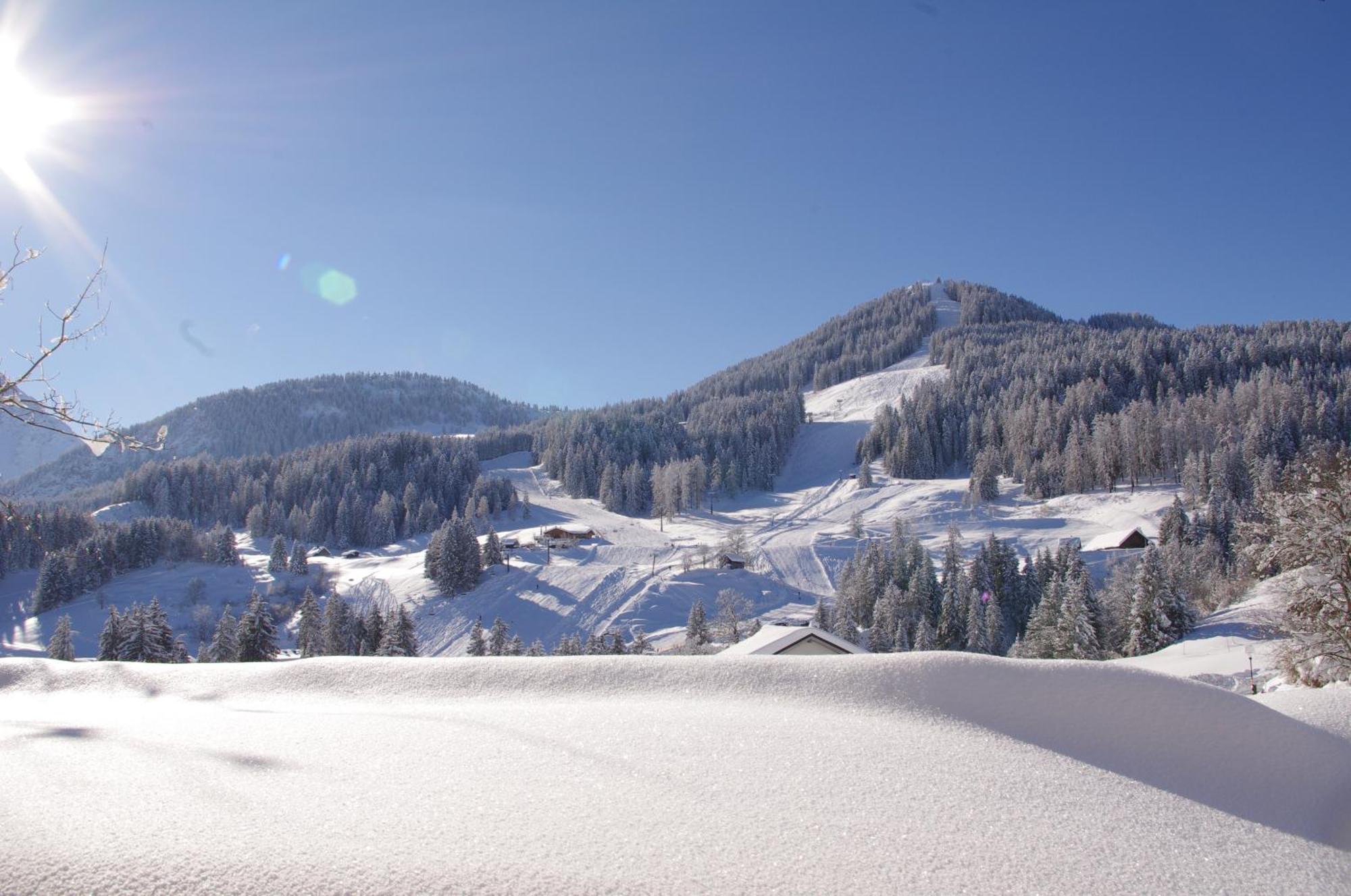 Hotel Burtschahof Bürserberg エクステリア 写真